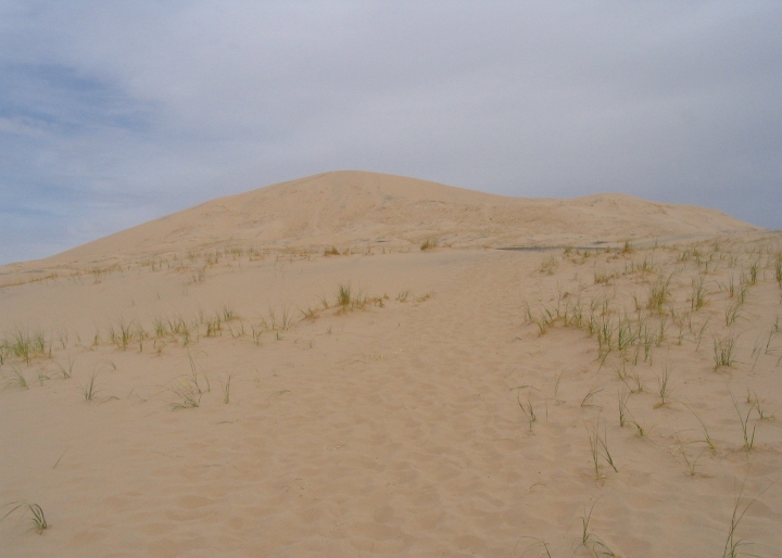 Kelso Dunes